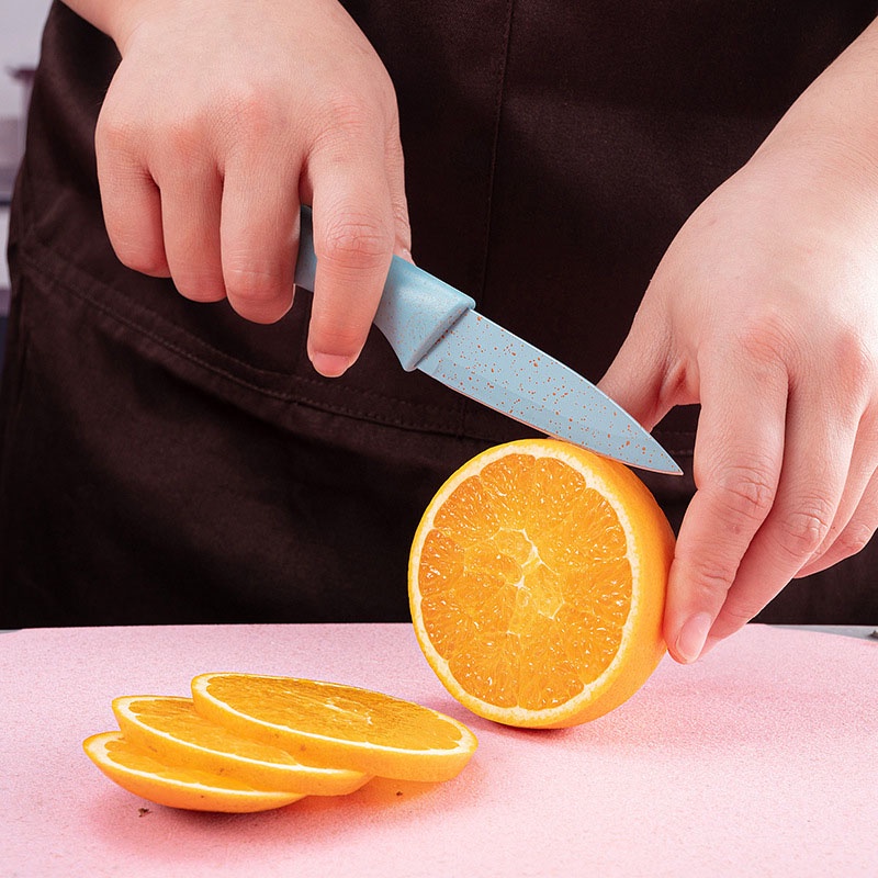 Bộ Dao Nhà Bếp Lúa Mạch 6 Món KITCHEN KNIFE Cao Cấp Kháng Khuẩn Tiện Dụng SONHOUSE