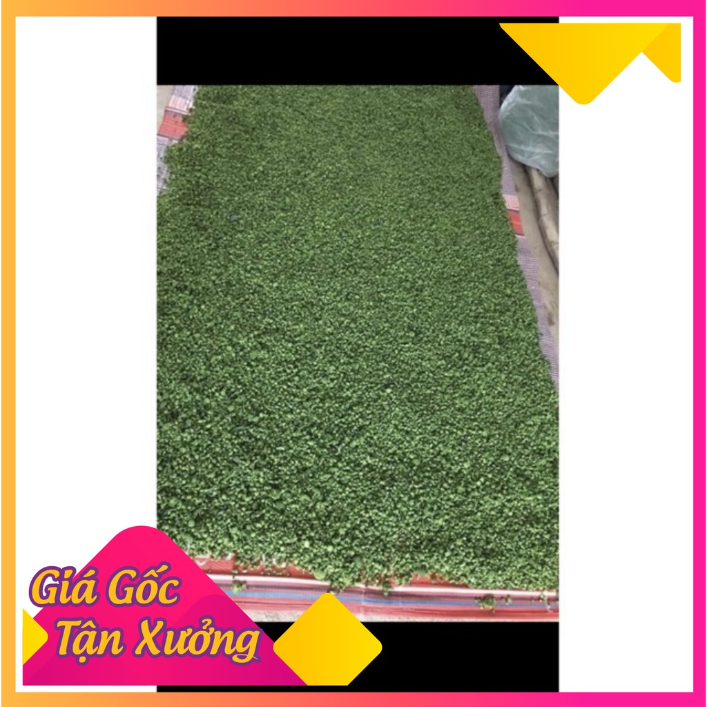 [Hàng Cao Cấp] Nụ hoa tam thất Hà Giang 1kg nụ tam thất khô, thơm hàng chuẩn- Dược Liệu Quý