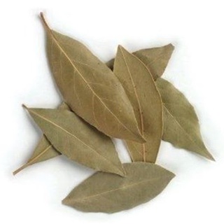 10g lá nguyệt quế khô