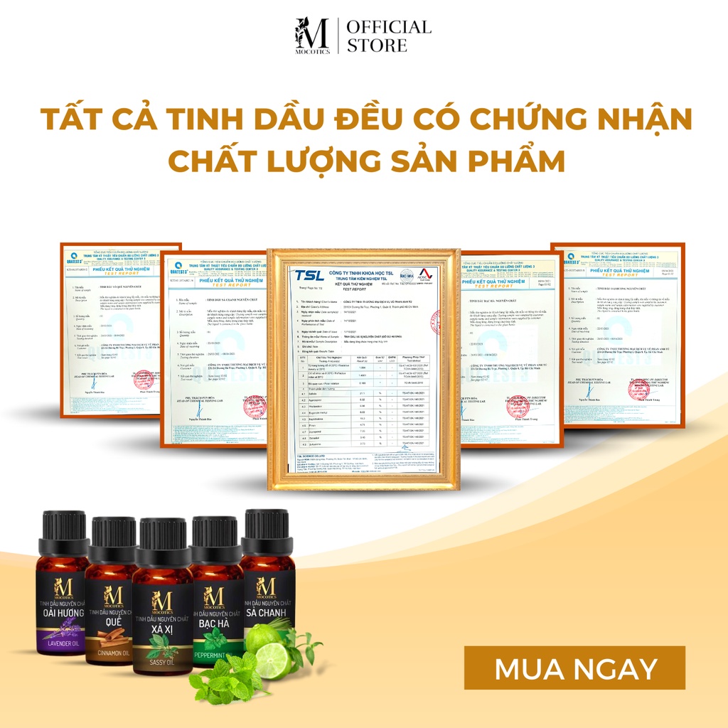 Tinh dầu Trà trắng Mocotics nhập khẩu Ấn Độ, thiên nhiên thơm phòng, khử mùi, làm nến thơm - White Tea
