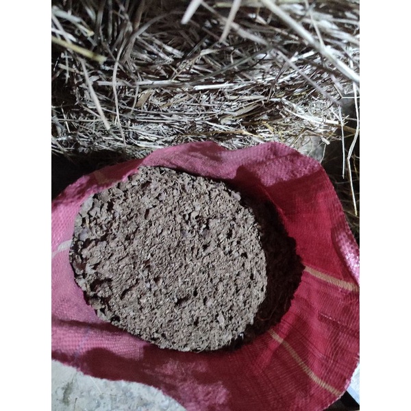 Phân bò khô Bến Tre nguyên chất nặng tầm 3,5-5kí