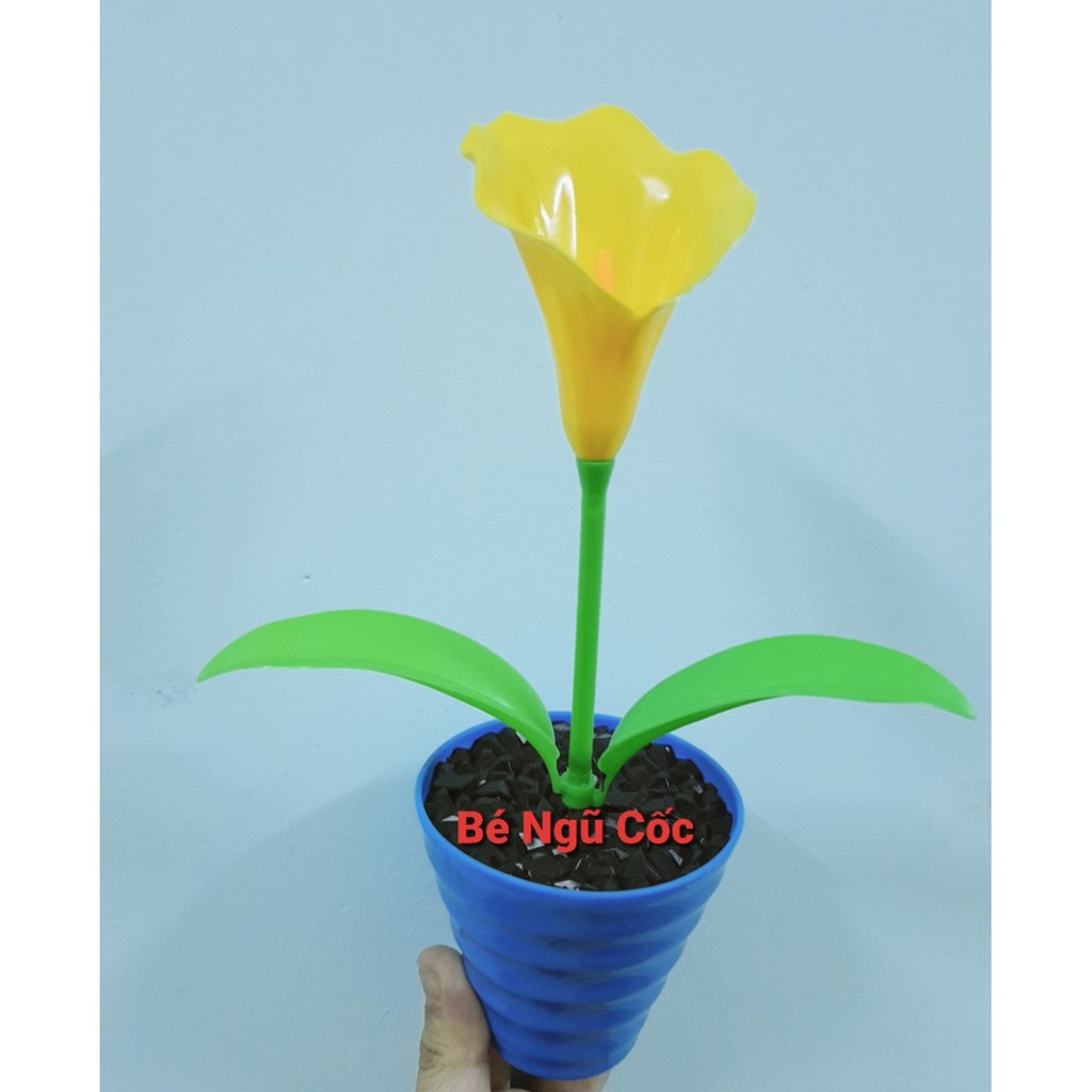 Đồ chơi trồng cây bằng nhựa (ảnh thật) quà tặng cho bé trẻ em