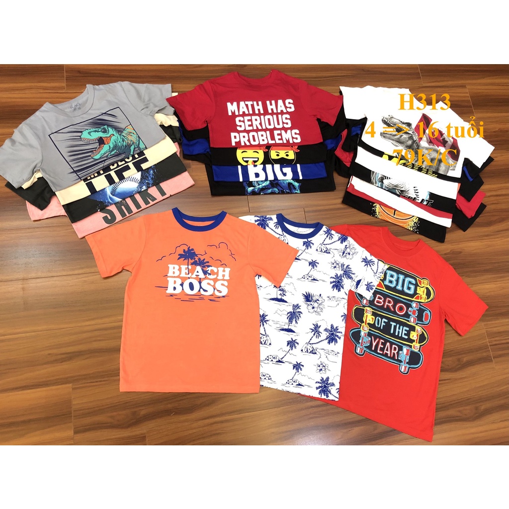 * Mã H313:  Áo bé trai cotton hàng VNXK dư xịn. Chất cotton mềm, thấm hút mồ hôi BC 9373
