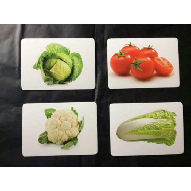 Flashcard Thế giới xung quanh 140 thẻ (khổ A5) - Thẻ Flash card