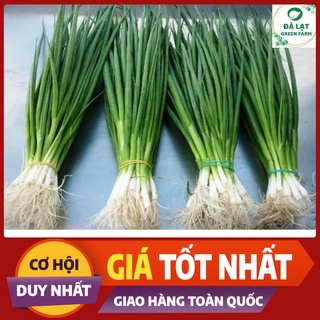 HẠT GIỐNG HÀNH LÁ CHUẨN FARM_1GR (CHẤT LƯỢNG CHUẨN F1)