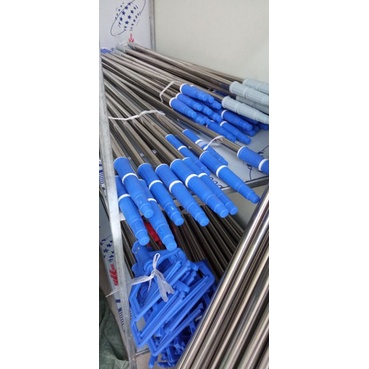Cây lau tường, lau trần 3m