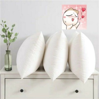Ruột gối bông cao câp