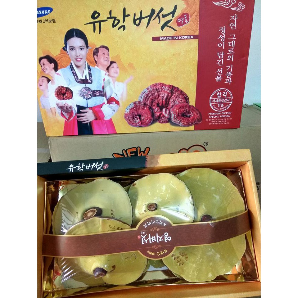 NẤM LINH CHI ĐỎ HÀN QUỐC 1KG - HỘP CÔ GÁI (CÁNH NẤM TO)