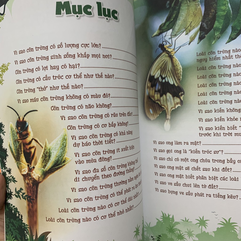 Sách - 10 Vạn Câu Hỏi Vì Sao? - Khám Phá Thế Giới Côn Trùng - 8935074120618