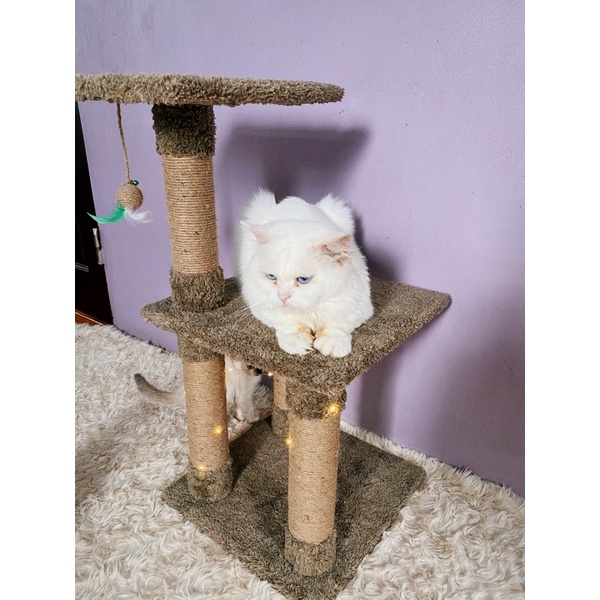 [ CATTREE VIỆT NAM ] Trụ Cào Móng 3 Tầng 😻 FREESHIP 😻 Inbox Shop để được giảm giá