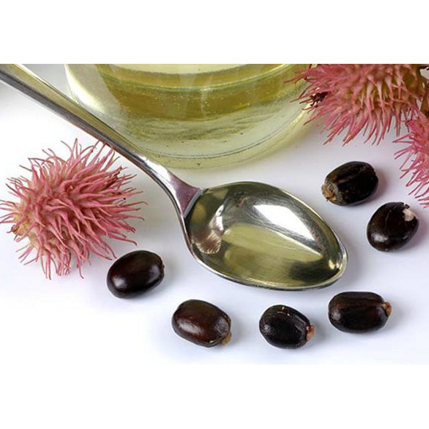 [Giao Nhanh] Dầu Thầu Dầu (castor oil) Organic Nguyên Chất 100ml dưỡng phục hồi tóc | BigBuy360 - bigbuy360.vn