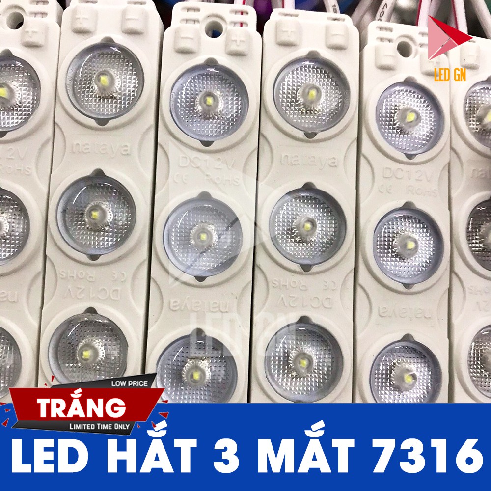 LED Hắt 3 Bóng 7316 - Chống Nước - Công Suất Cao [ VỈ 20 thanh ]