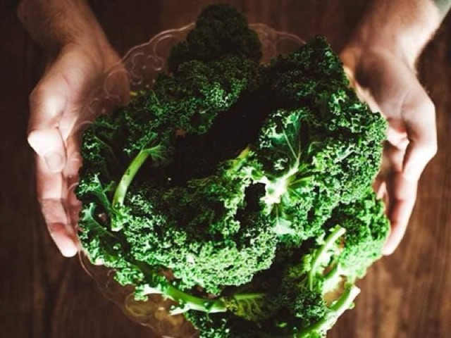 Hạt giống cải kale xoăn xanh