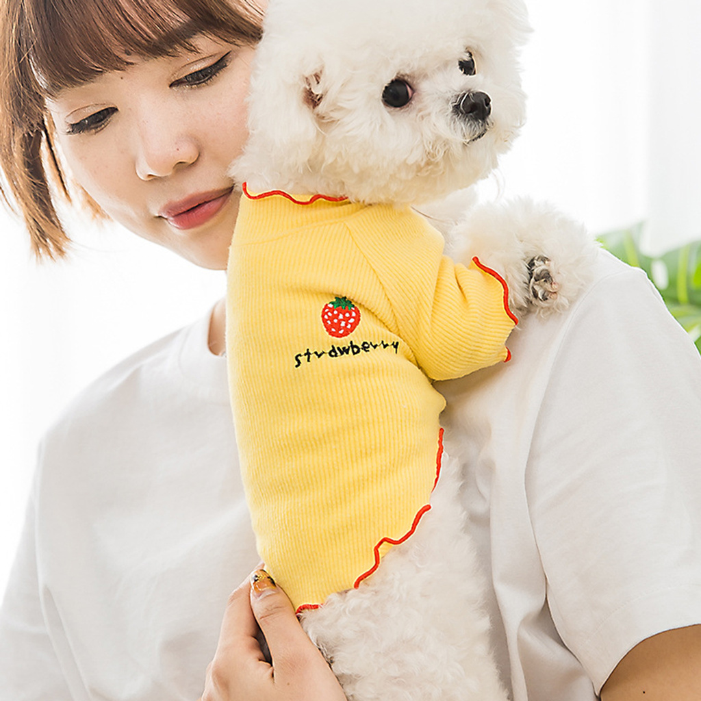 Áo Len Giữ Ấm Cho Thú Cưng