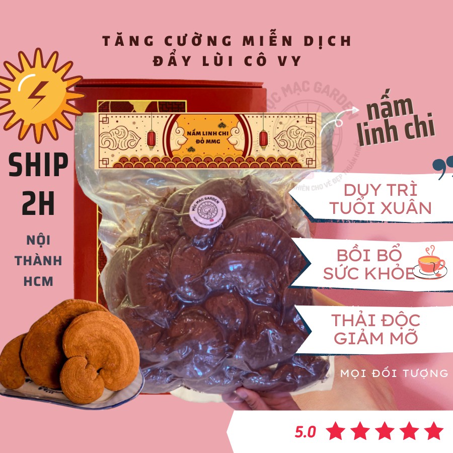 (500gr) Nấm Linh Chi đỏ MMG Còn bào tử thượng hạng dạng túi