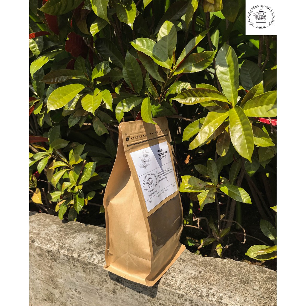 500 GRAM Cà phê rang xay Robusta 100% Rang Mộc Nguyên Chất Coffee bột rang xay pha phin pha máy ĐẮK LẮK | BigBuy360 - bigbuy360.vn