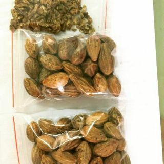 Quả kha tử 100g
