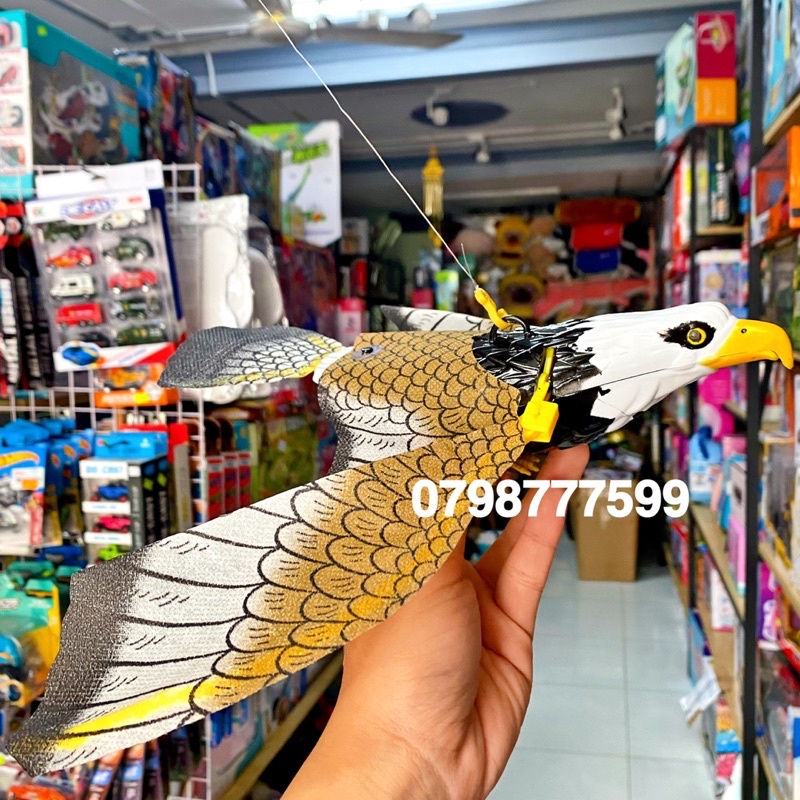 đồ chơi Chim Đại Bàng biết bay
