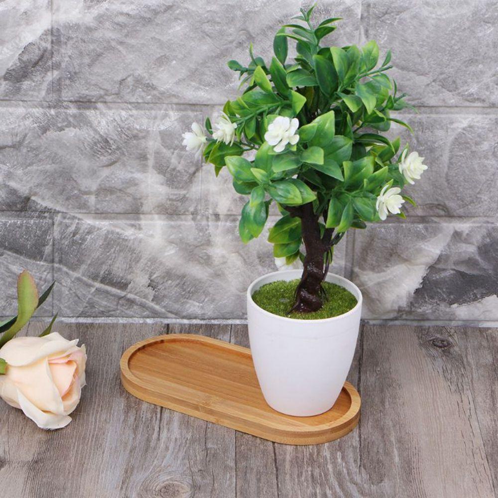Chậu Hoa Để Bàn Trang Trí Thiết Kế Tinh Tế