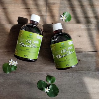 Nước trái cây lên men - Oh chewcha bạc hà (chai 500ml)