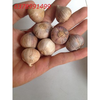 TỎI CÔ ĐƠN 1KG