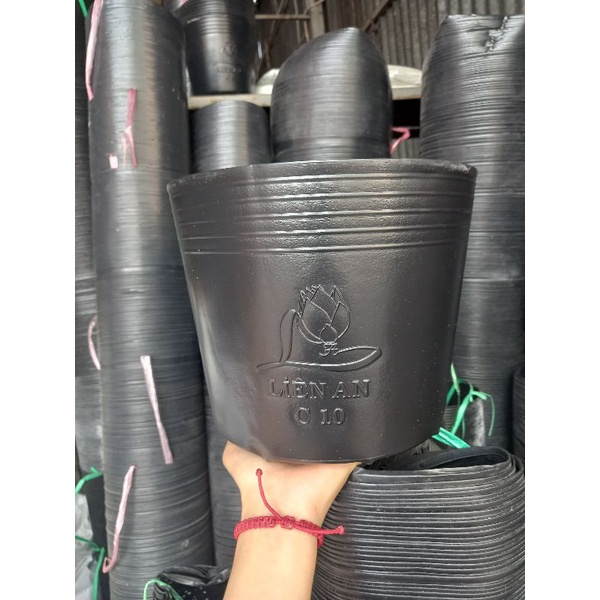 Combo 250 chậu c10 trồng cây