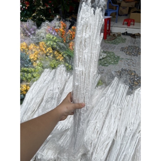 Cành tuyết dẻo trắng bó  10 cành dài  60cm