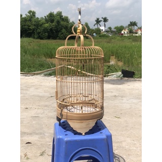 Lồng Khuyên Trúc Trắng Hàng Đẹp Rẻ