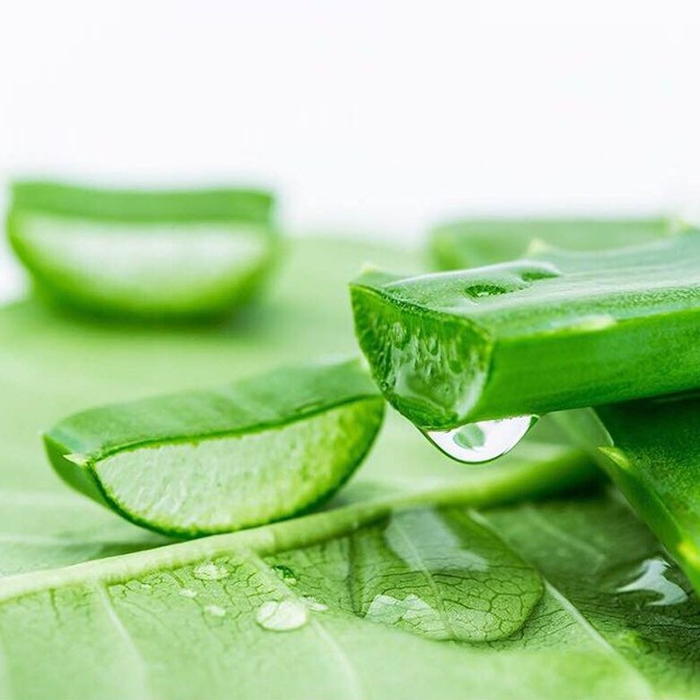 Gel Dưỡng Thể Aloe Vera Soothing Gel 98% Organia