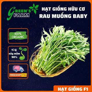 Hạt giống rau muống baby hữu cơ Green Farm chịu nhiệt năng suất cao MS153