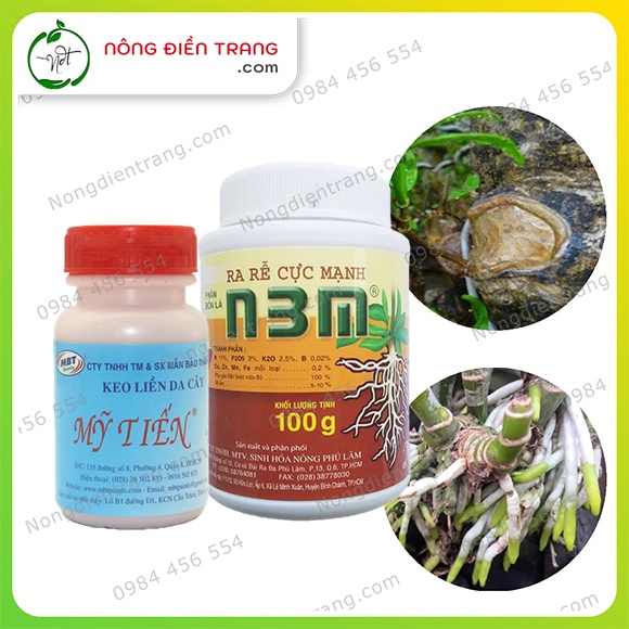 Bộ đôi Keo Liền Da Cây (Liền Sẹo) Mỹ Tiến 100gr Và Kích Ra Rễ Cực Mạnh N3M 100gr - VTNN Nông Điền Trang