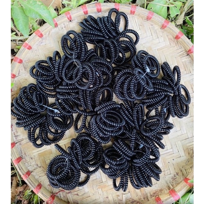 Sỉ Dây buộc tóc lò xo đen nhiều size, Dây cột tóc lò xo nhỏ