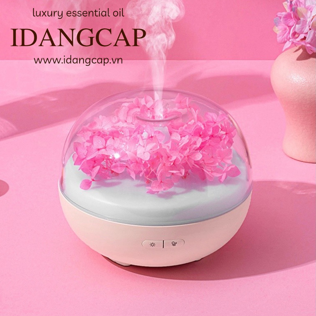 Máy khuếch tán tinh dầu cẩm tú cầu hồng chính hãng IDANGCAP ( tặng 10ml tinh dầu sả chanh khi mua máy )