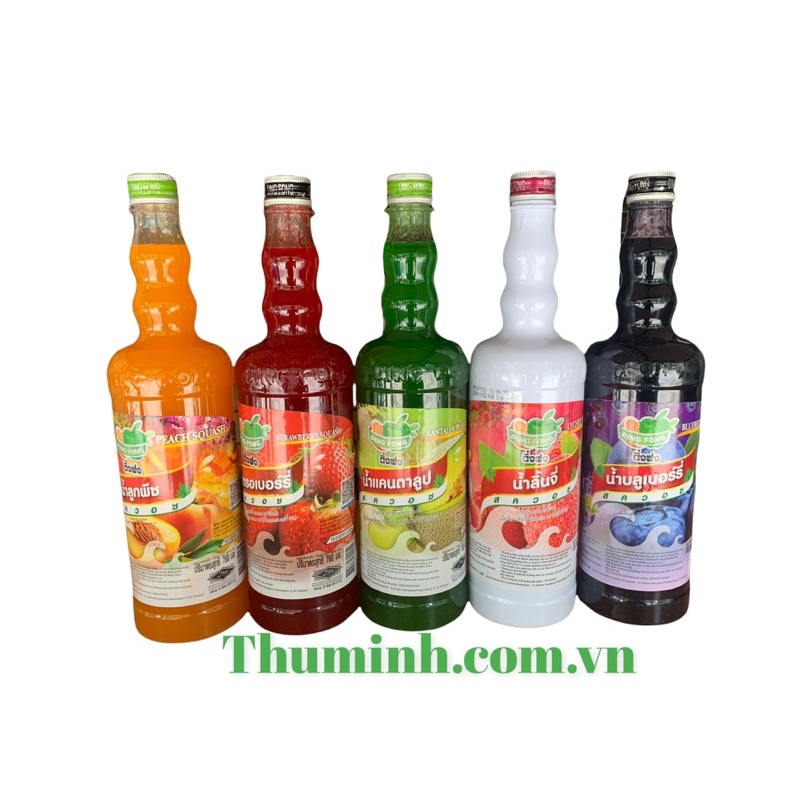 Siro Thái Ding Fong Chai 760ml Có Đủ Mùi