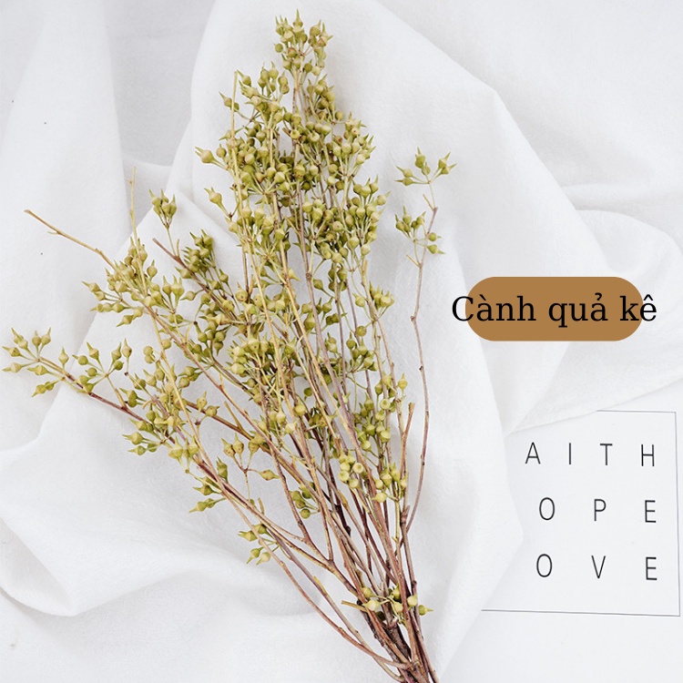 Cành Lá Khô Chụp Ảnh Trang Trí Nhà Cửa