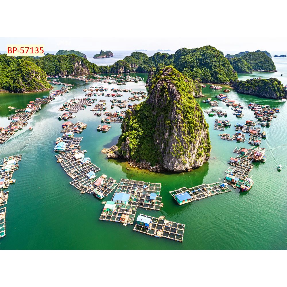 Tranh dán tường Việt Nam 3D Miễn Phí chèn tên riêng Quán, chèn chữ và logo theo yêu cầu.