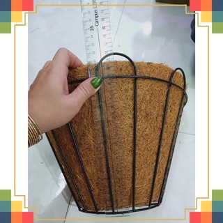 [HOT] Chậu ốp xơ dừa lớn - giao chậu như hình