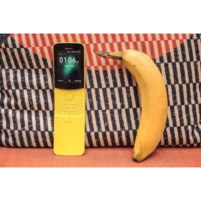 Nokia 8110