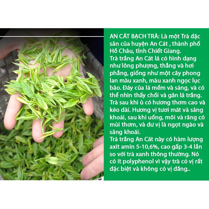 Trà Xanh An Cát Bạch Trà[7 gram DÙNG THỬ] Trà ngon, dòng cao cấp, trà thơm ngon đậm vị ngọt hậu