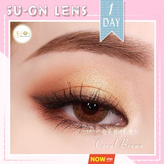 Lens 1 ngày Olens CORAL BROWN áp tròng 14,2mm