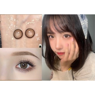 [Hàng mới về] Kính áp tròng OVOLOOK Dòng NMT (Nov.1) 14.2mm (màu nâu)
