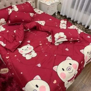 Set chăn phao cotton poly