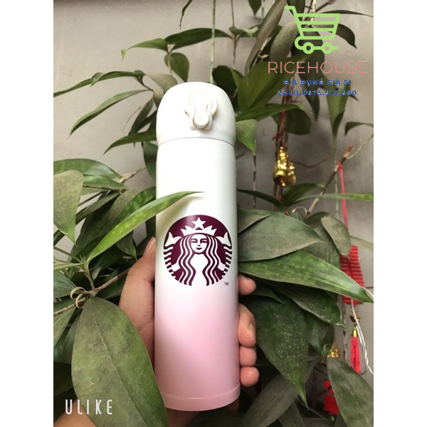 Bình giữ nhiệt starbucks bền, đẹp, siêu tiện dụng khi đi làm hoặc đi chơi