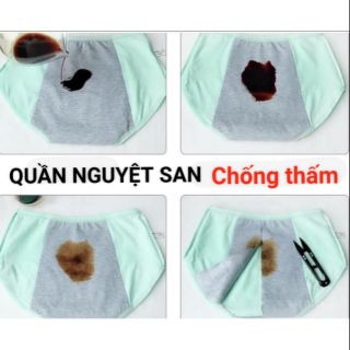 Combo 12c quần nguyệt san chống thấm