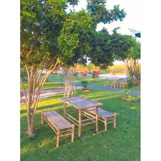 Bộ bàn ghế tre đẹp( 1bàn đứng+2 ghế dài 1m)