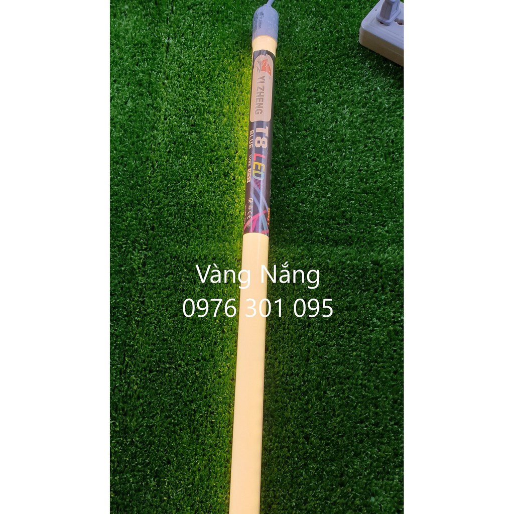 Đèn Chụp Hình 1m2 Nhiều Màu Sắc [10 Màu]