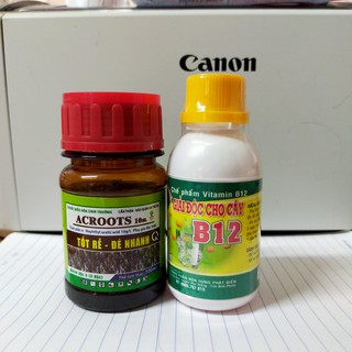 Combo tốt rễ đẻ nhánh AC root & B12 giải độc , chống sốc cây