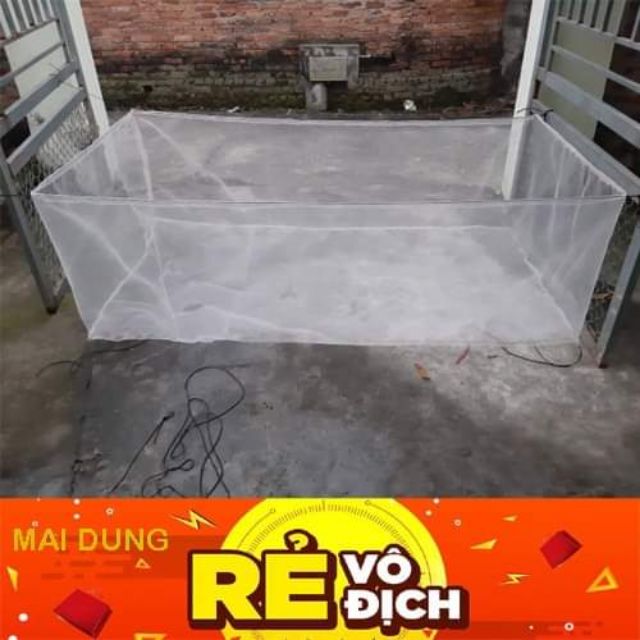 Tráng nuôi ốc nhồi mới nở - mã 2x1x0,6