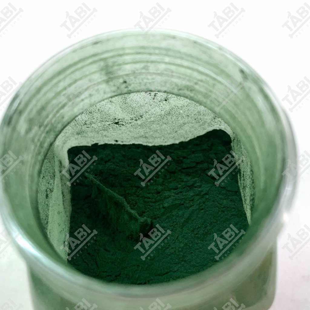 50G Tảo Xoắn Dạng Bột Cho Cá Ăn - Thức Ăn Cá Tảo Bột Xoắn [TẢO BỘT]
