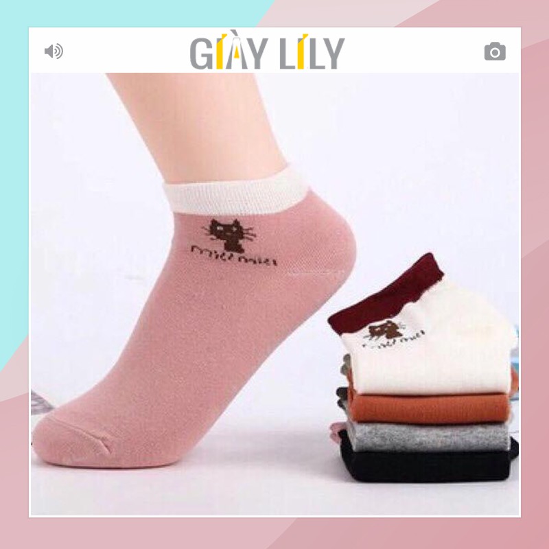 Set 10 đôi tất chống hôi chân Miu Miu BT02